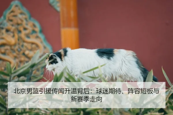 bei-jing-nan-lan-yin-yuan-chuan-wen-sheng-wen-bei-hou-qiu-mi-qi-dai-zhen-rong-duan-ban-yu-xin-sai-ji-zou-xiang-3-579.jpg